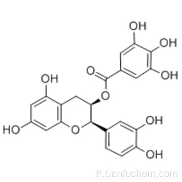 (-) - Gallate d&#39;épicatéchine CAS 1257-08-5